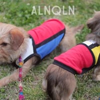 whipwhipさんの作品