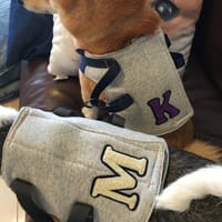 ナツ色さんの作品