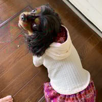 あっちゃんさんの作品