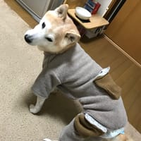 ごみさんの作品