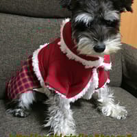 レンかのさんの作品