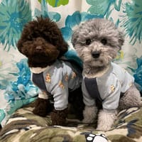 ハンドシェイクさんの作品