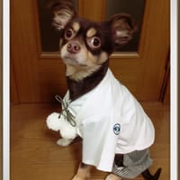 ゆきっぺさんの作品