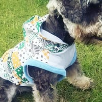 るぅなさんの作品