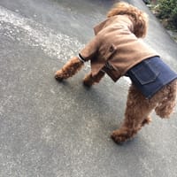 パコさんの作品