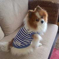 feelgoodさんの作品