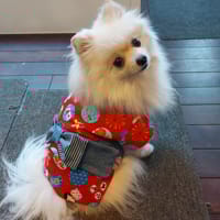 にこママさんの作品