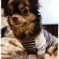 roncoさんの作品