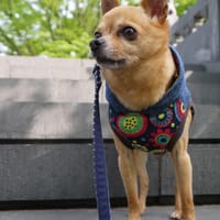 そらさんの作品