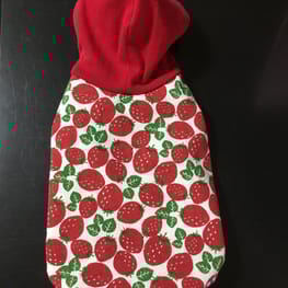 コロンママさんの作品