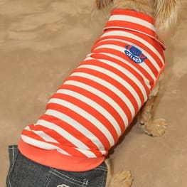 ひなはなさんの作品