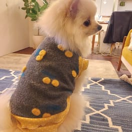 にこママさんの作品