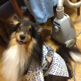 アルままさんの作品