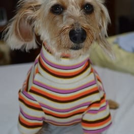 ひなはなさんの作品