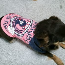 電球さんの作品