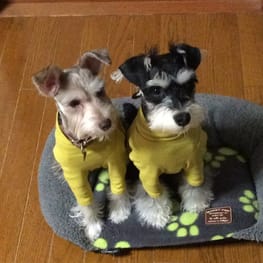 かんれいさんの作品