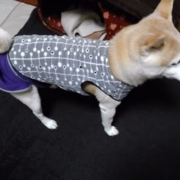 ごみさんの作品