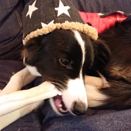 ぱんだ。さんの作品