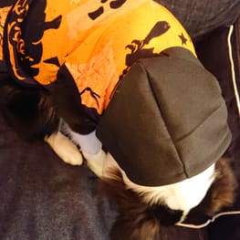 ぱんだ。さんの作品