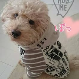 かんれいさんの作品