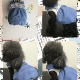 ひまわりさんの作品