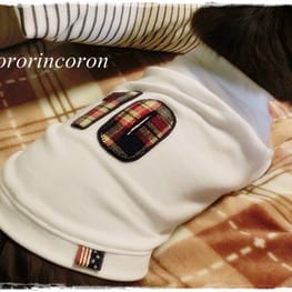 roncoさんの作品