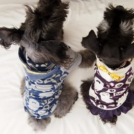 レンかのさんの作品