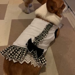 ゆめ元さんの作品