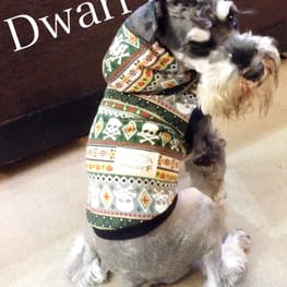 Dwarfさんの作品