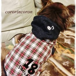 roncoさんの作品