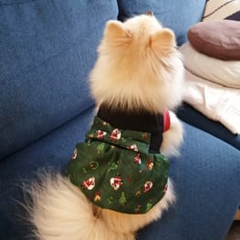 にこママさんの作品