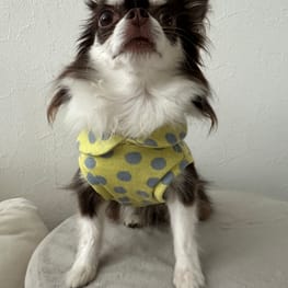 やすぽんさんの作品