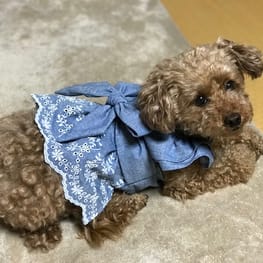 teruruさんの作品