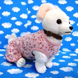 はなぴょんさんの作品