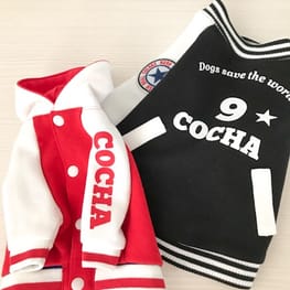 ちゃちゃさんの作品