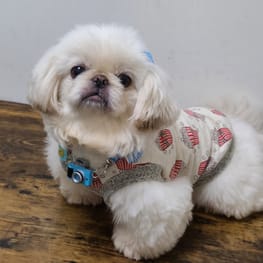 おとしらママさんの作品