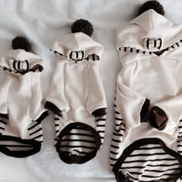 モルモさんの作品