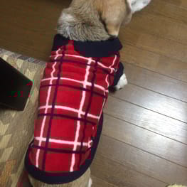 ベルさんの作品