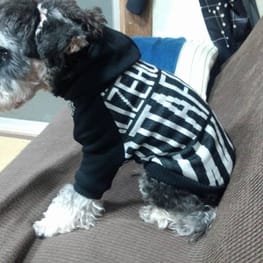 かんれいさんの作品