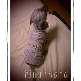 ひなはなさんの作品