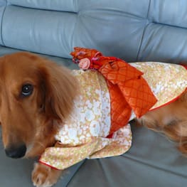 ぽったぁさんの作品