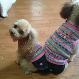 モコさんの作品