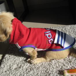 korino-rinoさんの作品