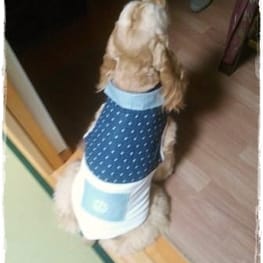 かんれいさんの作品