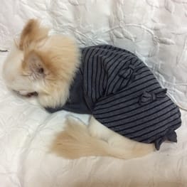 ちゃん凛さんの作品