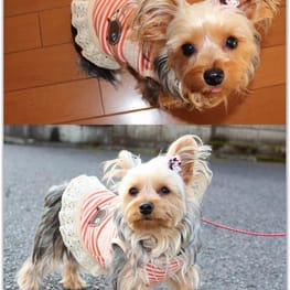 なおまろんさんの作品