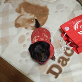 pobalさんの作品