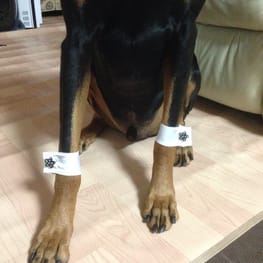 Aliceさんの作品