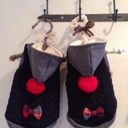 モルモさんの作品