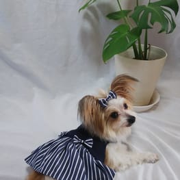 おいもさんの作品